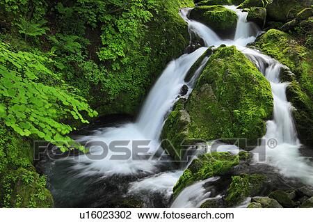 Stock Image - Stream. Fotosearch