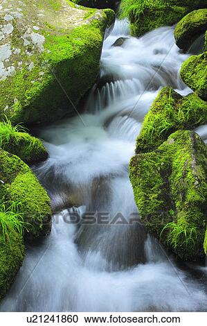 Stock Image - Stream. Fotosearch