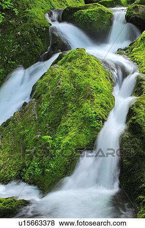 Stream View Large Photo Image Stock Photo - Stream. Fotosearch