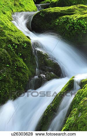 Stream View Large Photo Image Stock Photo - Stream. Fotosearch