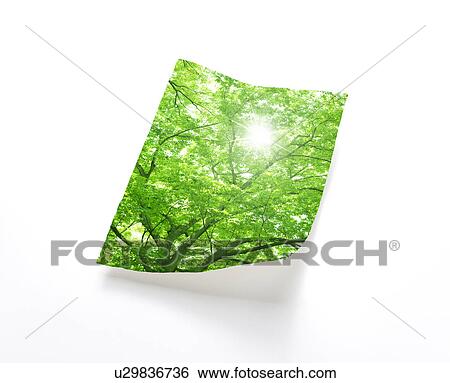 Sun Shining Through Tree View Large Photo Image Stock Photograph - Sun Shining Through Tree. Fotosearch