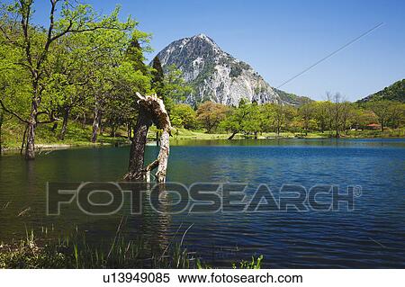 Takanami pond, Niigata Prefecture, Honshu, Japan View Large Photo Image Stock Photography - Takanami pond, Niigata Prefecture, Honshu, Japan. Fotosearch