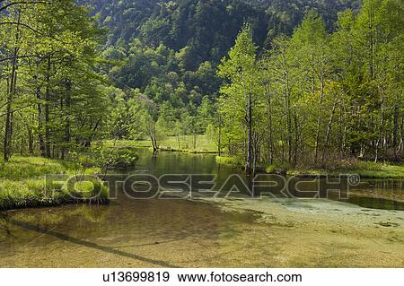 Tashiro Pond, Nagano Prefecture, Japan View Large Photo Image Stock Photo - Tashiro Pond, Nagano Prefecture, Japan. Fotosearch