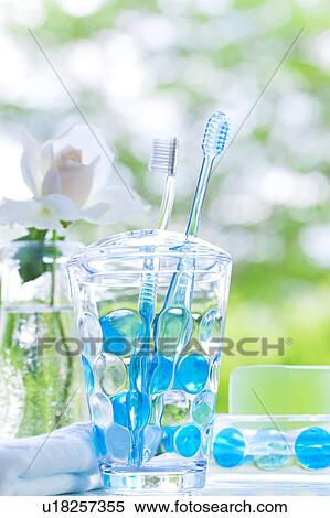 Toothbrushes in a holder View Large Photo Image Stock Photography - Toothbrushes in a holder. Fotosearch