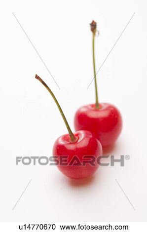 Two Cherries View Large Photo Image Stock Image - Two Cherries. Fotosearch