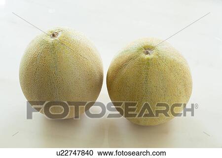 Two Melons View Large Photo Image Stock Image - Two Melons. Fotosearch