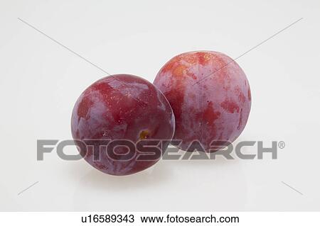 Two Plums View Large Photo Image Stock Image - Two Plums. Fotosearch