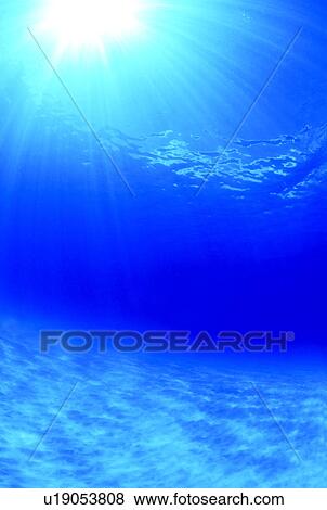 Undersea, Saipan View Large Photo Image Stock Photo - Undersea, Saipan. Fotosearch