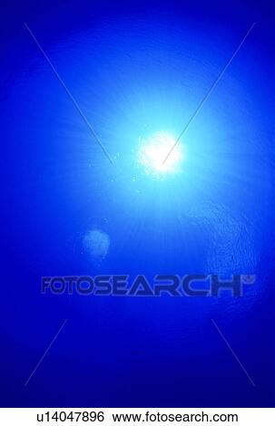 Undersea, Saipan View Large Photo Image Stock Photograph - Undersea, Saipan. Fotosearch