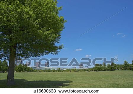Stock Image - Urban park, Tokyo Prefecture, Honshu, Japan. Fotosearch