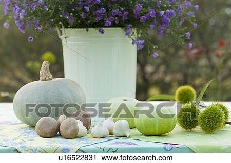 Vegetables Beside Vase of Frost Aster View Large Photo Image Stock Image - Vegetables Beside Vase of Frost Aster. Fotosearch