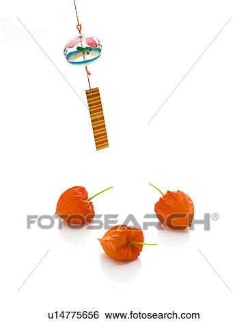 Stock Photograph - Windchime and Three Winter Cherries. Fotosearch