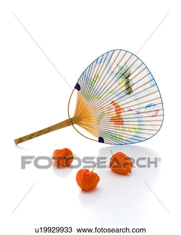 Stock Image - Winter Cherries and Fan. Fotosearch
