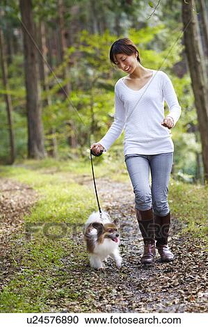 Stock Image - Woman Walking Dog on Forest Path. Fotosearch