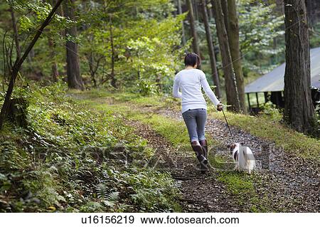 Stock Photo - Woman Walking Dog on Forest Path. Fotosearch