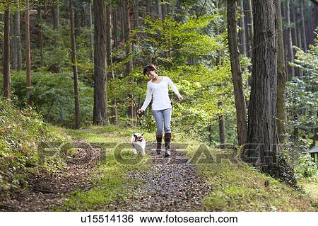Stock Photograph - Woman Walking Dog on Forest Path. Fotosearch