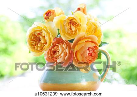 Yellow and orange roses in a vase View Large Photo Image Stock Photo - Yellow and orange roses in a vase. Fotosearch