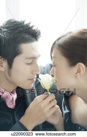 Young Couple Smelling A Rose View Large Photo Image Stock Image - Young Couple Smelling A Rose. Fotosearch