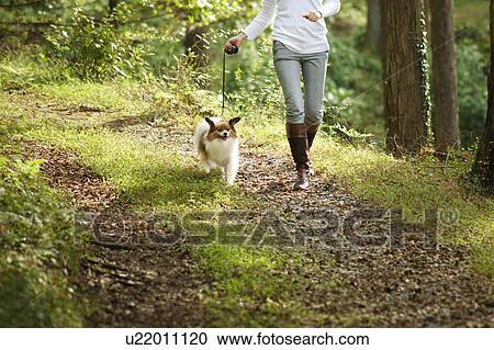 Stock Image - Young Woman Walking Dog, Low Section. Fotosearch