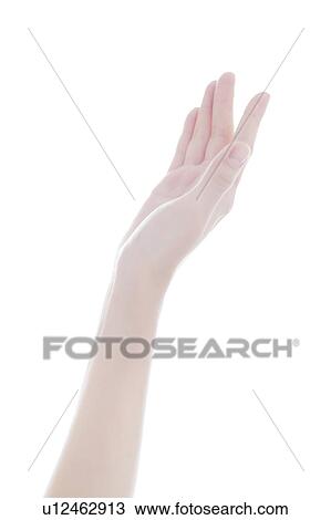 Young Woman's Hand View Large Photo Image Stock Image - Young Woman's Hand. Fotosearch