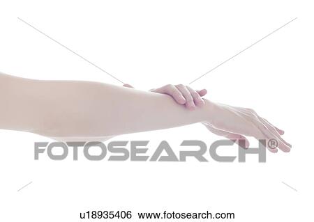 Young Woman's Hands View Large Photo Image Stock Photograph - Young Woman's Hands. Fotosearch