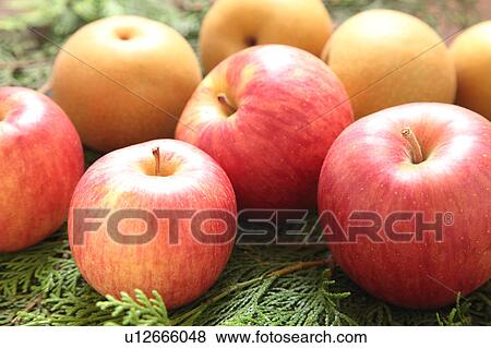 Stock Photo - Apples and Nashi Pears. Fotosearch