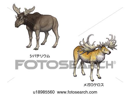 Asian wildlife in 4th century View Large Photo Image Stock Image - Asian wildlife in 4th century. Fotosearch