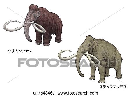 Asian wildlife in 4th century View Large Photo Image Stock Photo - Asian wildlife in 4th century. Fotosearch