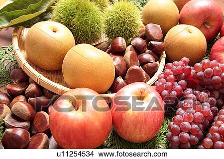 Autumn Fruits View Large Photo Image Picture - Autumn Fruits. Fotosearch