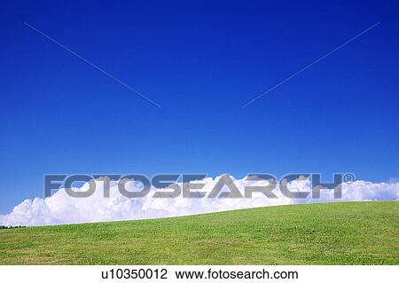 Blue Sky Over Grass View Large Photo Image Stock Image - Blue Sky Over Grass. Fotosearch