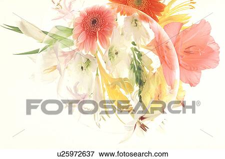 Bouquet of flowers View Large Photo Image Stock Photo - Bouquet of flowers. Fotosearch