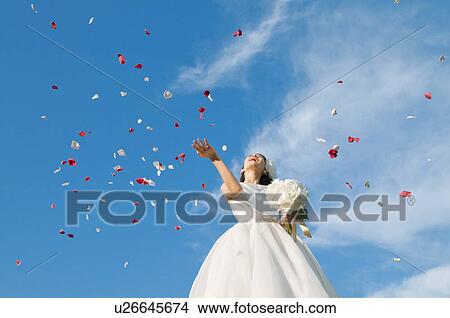 Bride touching petals floating in air View Large Photo Image Picture - Bride touching petals floating in air. Fotosearch