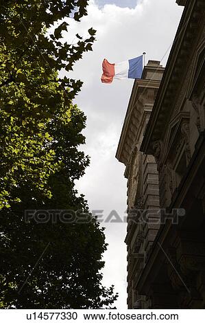 Building in Paris and French flag, Paris, France View Large Photo Image Stock Image - Building in Paris and French flag, Paris, France. Fotosearch