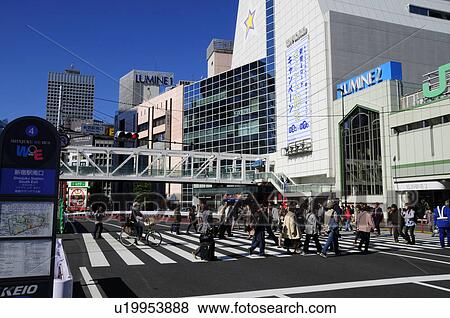 Cityscape, Shinjuku ward, Tokyo Prefecture, Japan View Large Photo Image Stock Photo - Cityscape, Shinjuku ward, Tokyo Prefecture, Japan. Fotosearch