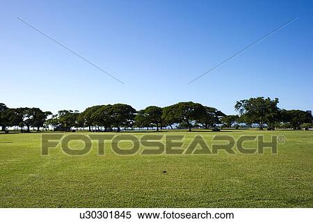 Stock Photography - Clear Blue Sky Over Park. Fotosearch