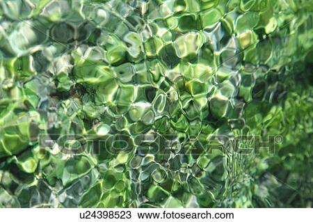 Close Up of River View Large Photo Image Stock Image - Close Up of River. Fotosearch