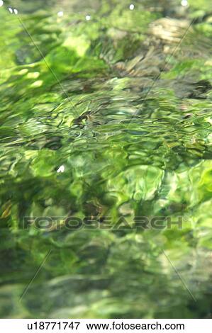 Stock Photo - Close Up of River. Fotosearch