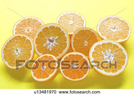 Cross sections of citrus fruits View Large Photo Image Stock Image - Cross sections of citrus fruits. Fotosearch