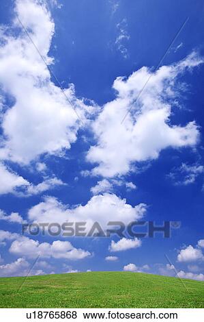 Cumulus Clouds Over Field View Large Photo Image Stock Photo - Cumulus Clouds Over Field. Fotosearch