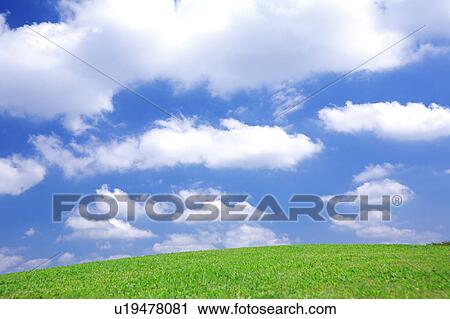 Cumulus Clouds Over Grass View Large Photo Image Stock Image - Cumulus Clouds Over Grass. Fotosearch