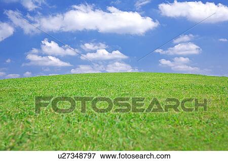 Stock Photo - Cumulus Clouds Over Grass. Fotosearch