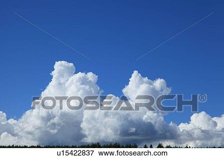 Stock Photo - Cumulus Clouds. Fotosearch