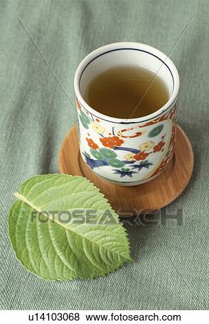 Stock Photo - Cup of green tea. Fotosearch