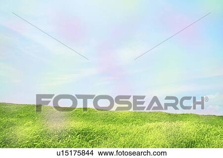 Field View Large Photo Image Picture - Field. Fotosearch