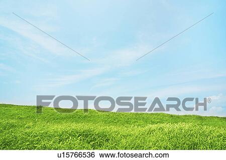 Stock Photograph - Field. Fotosearch