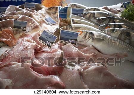 Picture - Fishes in a market. Fotosearch