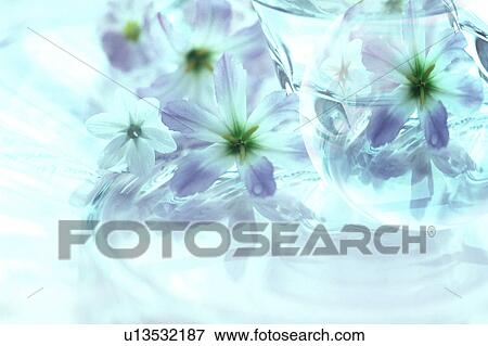 Stock Photo - Flowers and sphere, digital enhancement. Fotosearch