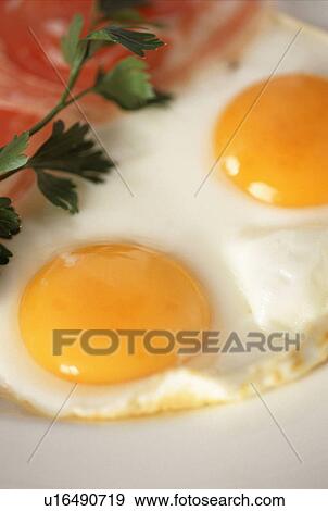 Fried eggs and ham View Large Photo Image Stock Photo - Fried eggs and ham. Fotosearch