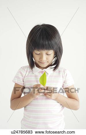 Girl Holding Leaf View Large Photo Image Stock Image - Girl Holding Leaf. Fotosearch