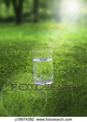 Stock Image - Glass of Water on Grass. Fotosearch